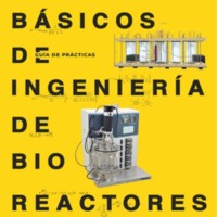 Conceptos Básicos de Ingeniería de Bioreactores. Guía de Prácticas